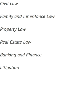 Civil Law Family and Inheritance Law Property Law Real Estate Law Banking and Finance Litigation