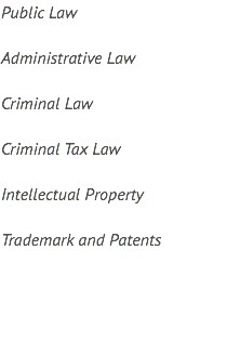 Public Law Administrative Law Criminal Law Criminal Tax Law Intellectual Property Trademark and Patents